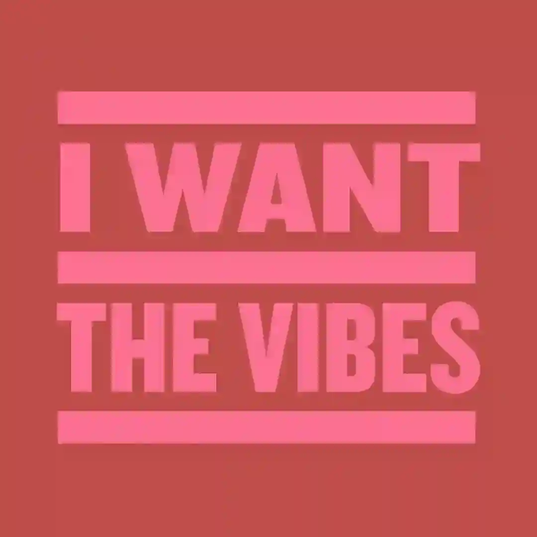 I Want The Vibes (Extended Mix) cover