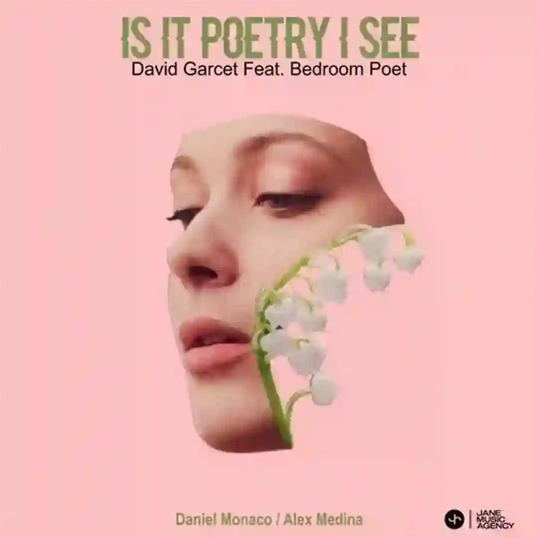 Is it poetry I see (Daniel Monaco Remix) cover