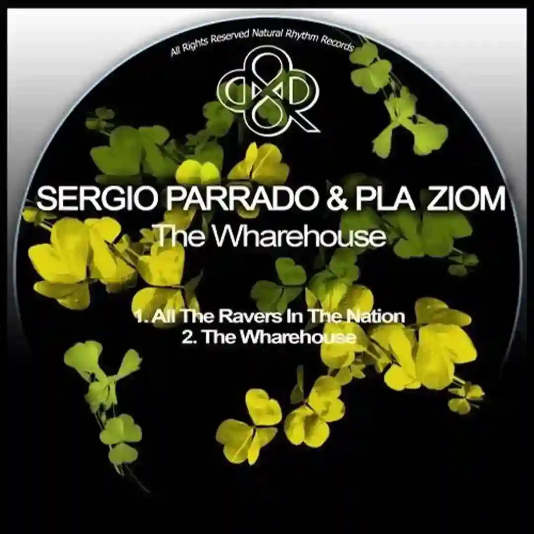 The Wharehouse (Original Mix) cover