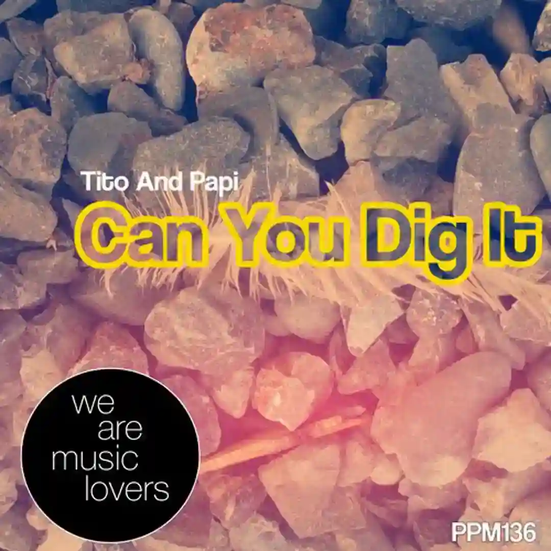 Can You Dig It cover