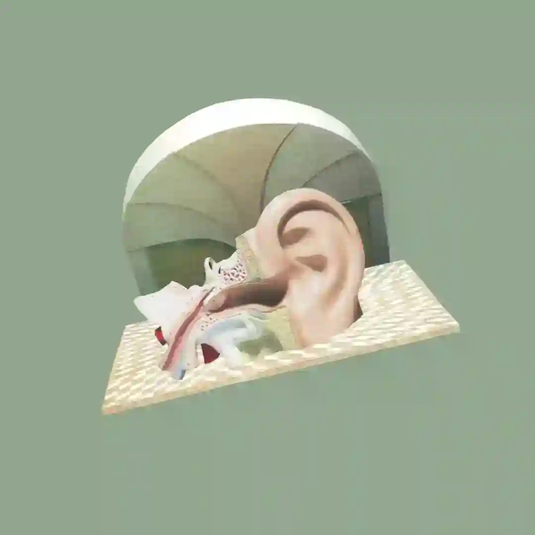 Uno cover