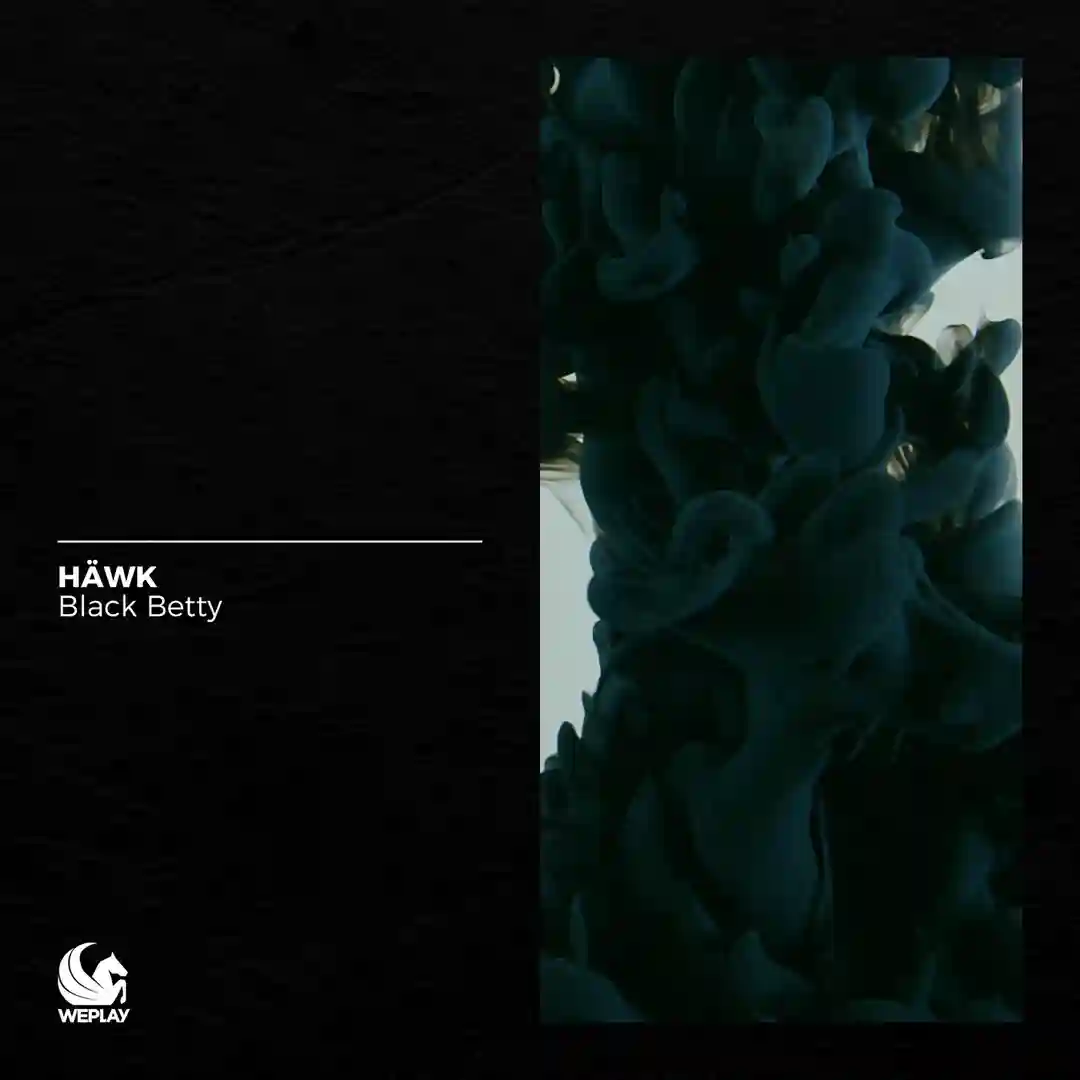 Black Betty (Extended Instrumental Mix) cover