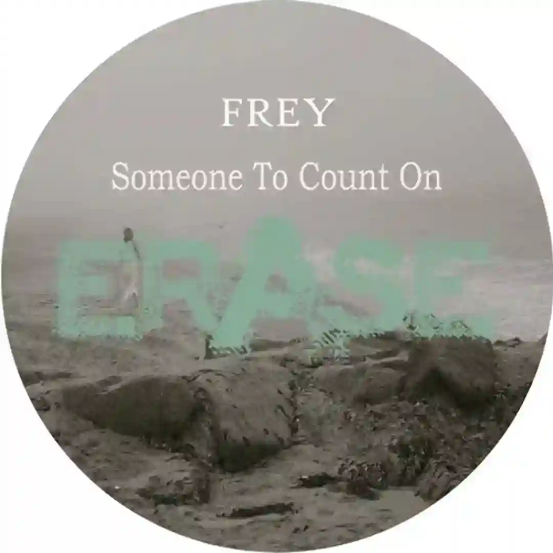 Someone to Count On cover