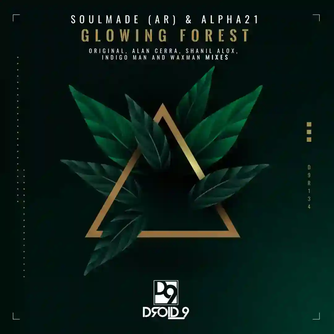 Glowing Forest (Waxman Remix) cover