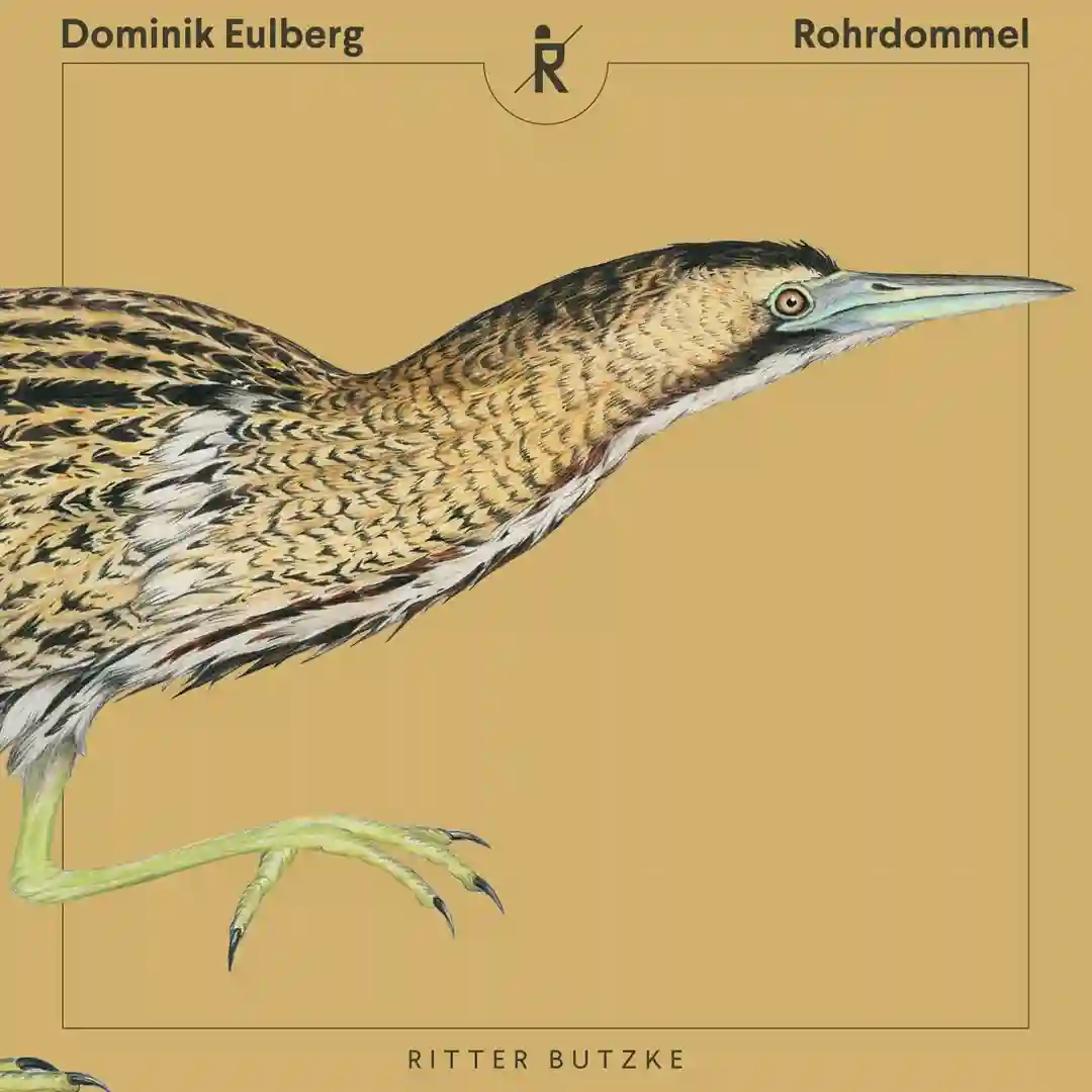 Rohrdommel cover
