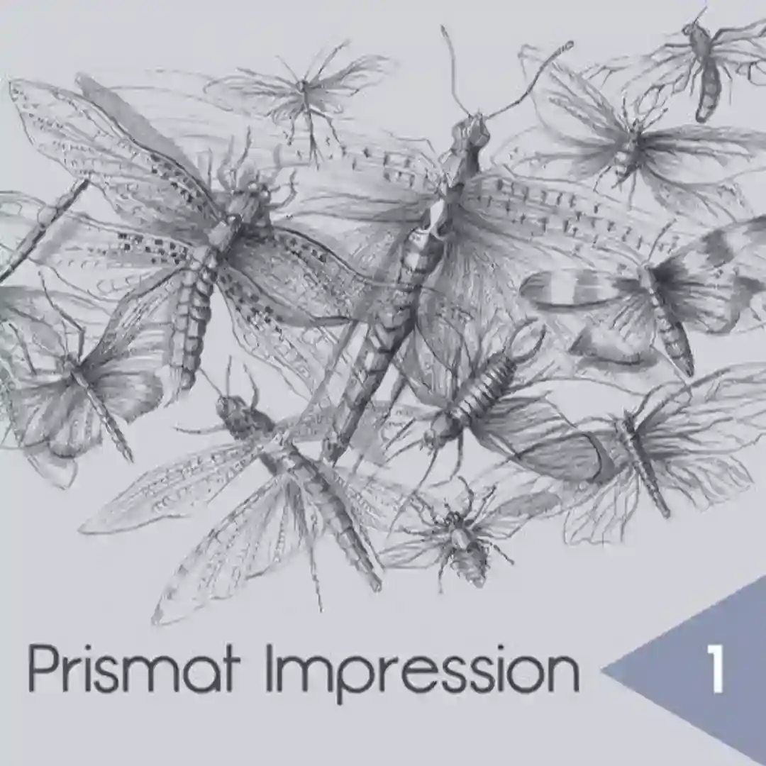 Breaking (Original Mix) cover