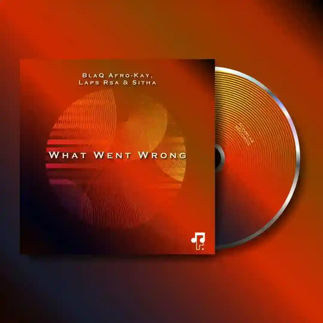 What Went Wrong (Re-Edit) cover