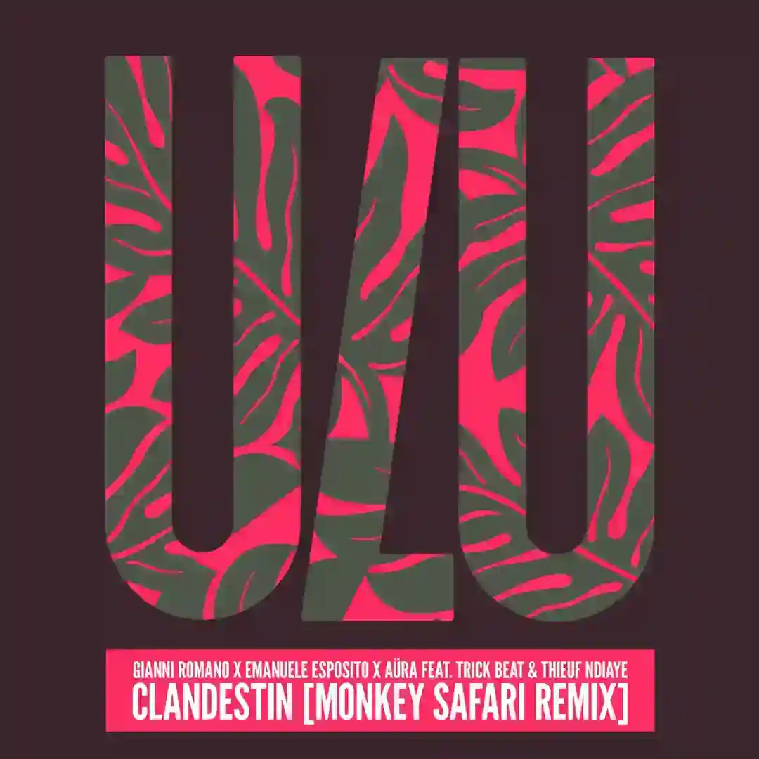 Clandestin cover