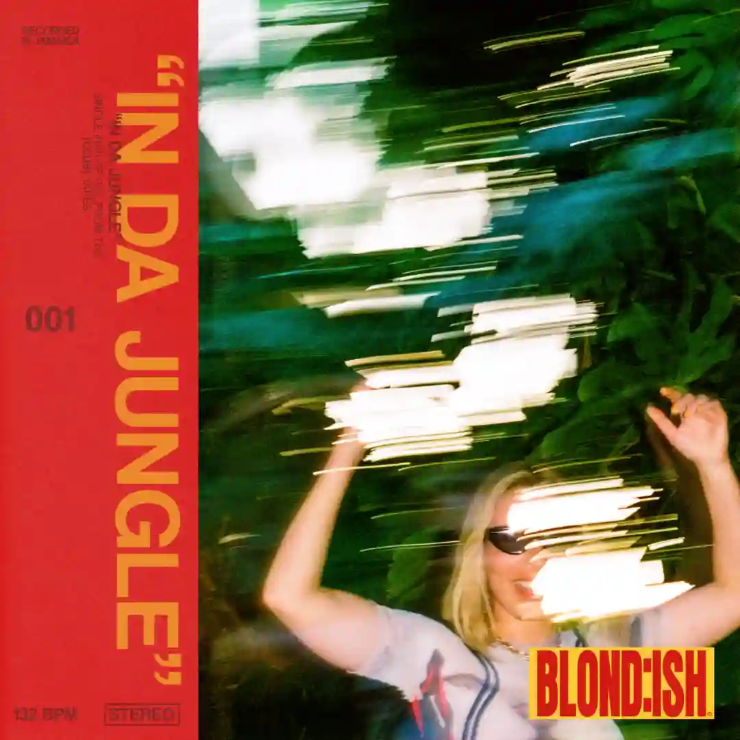 In Da Jungle (Extended Mix) cover