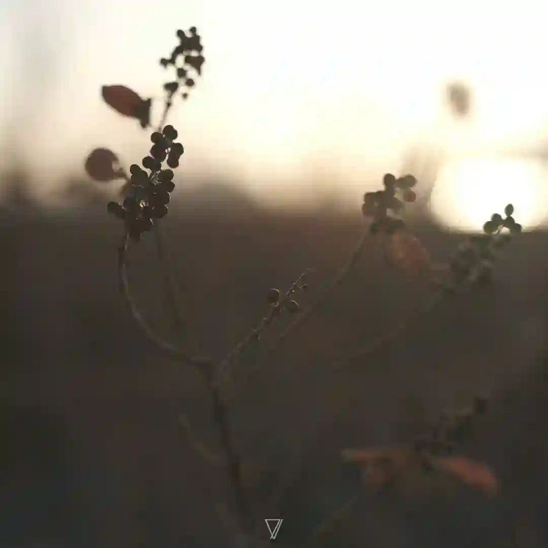 In the Stream (Powel Remix) cover