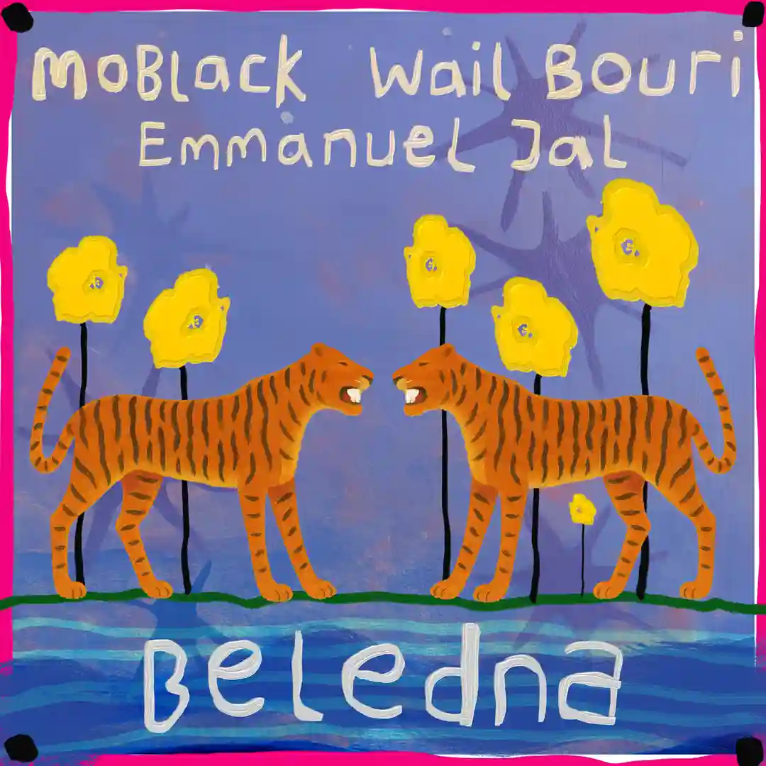 Beledna cover