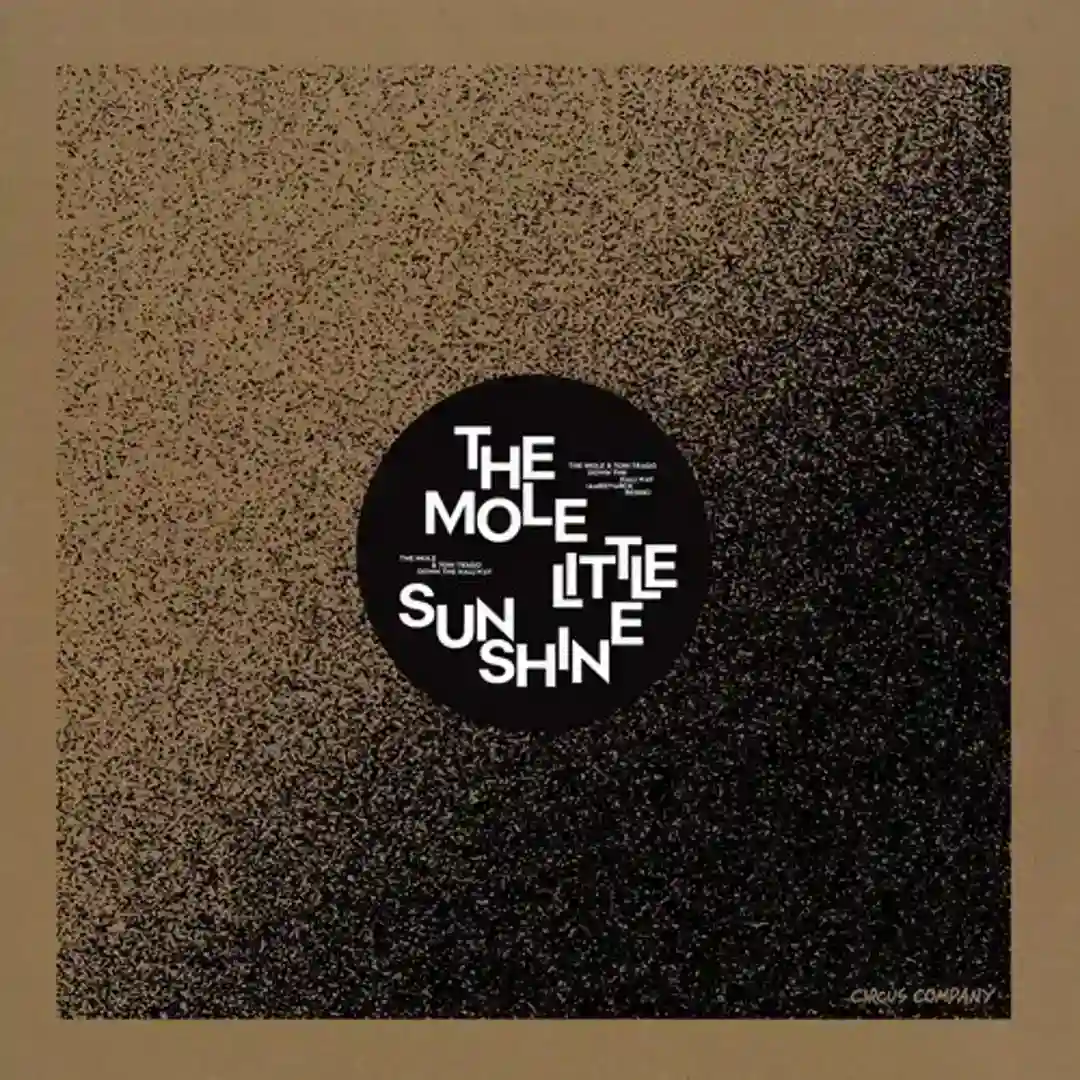 Little Sunshine cover