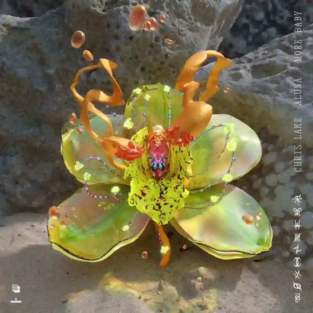 More Baby (VIP) (Extended Mix) cover