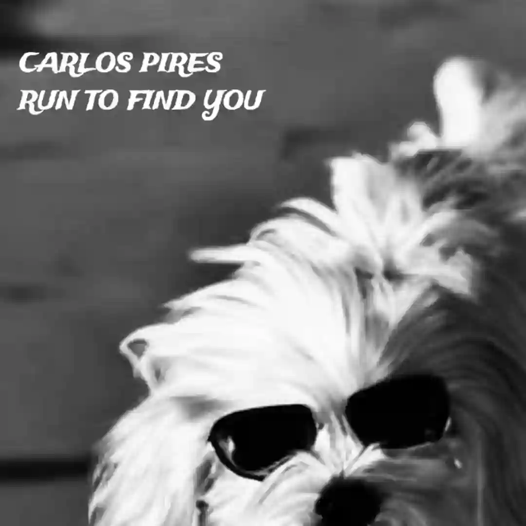 Run To Find You cover