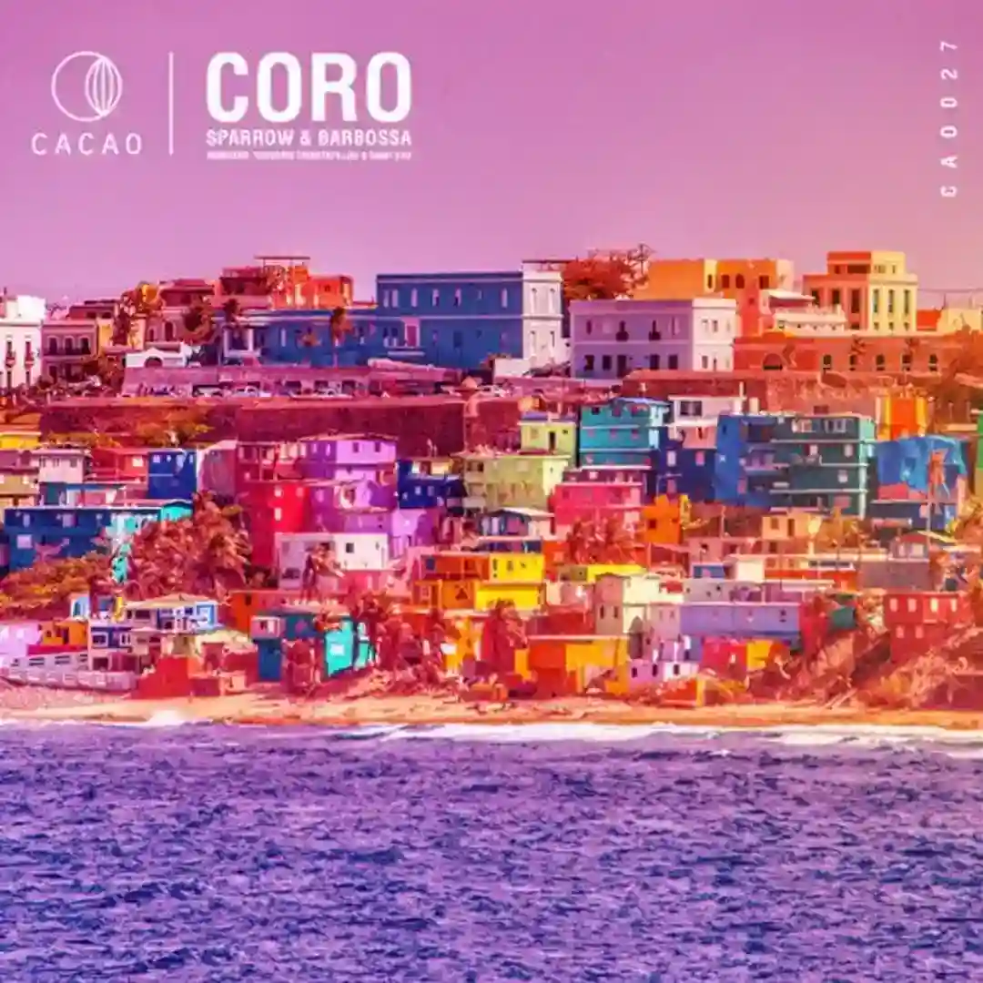 Coro (Thodoris Triantafillou Remix) cover