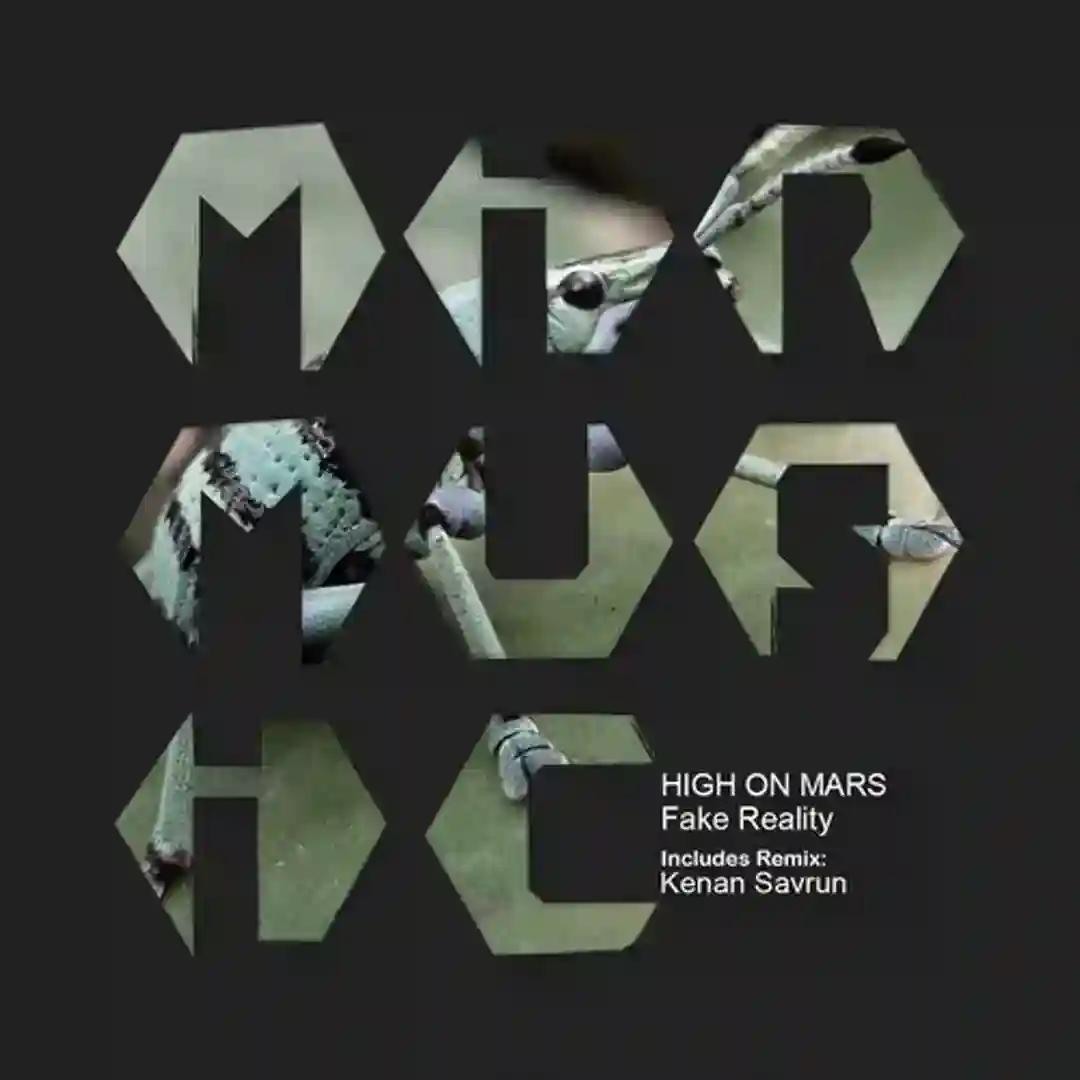 Fake Reality cover
