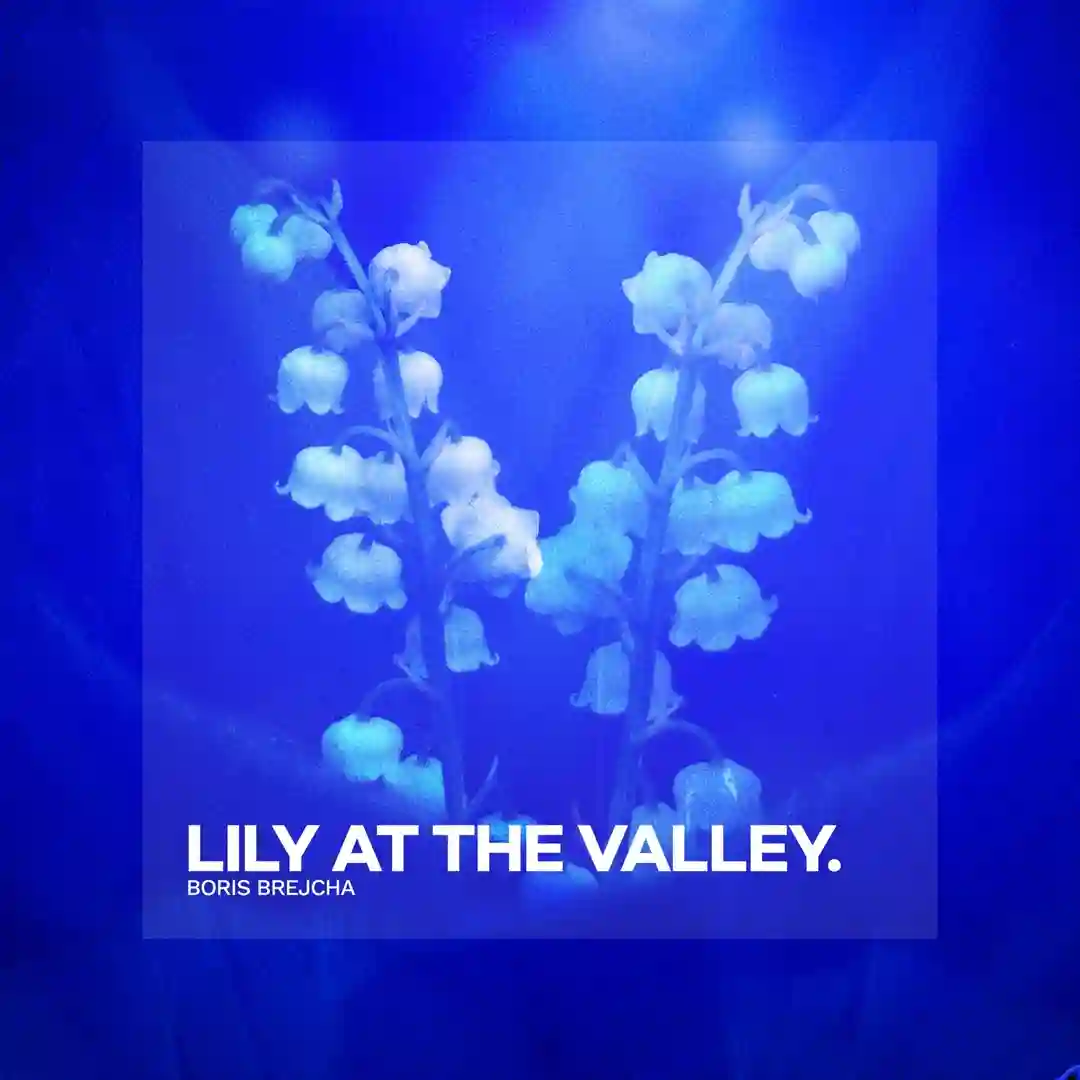 Lily At The Valley (Original Mix) cover