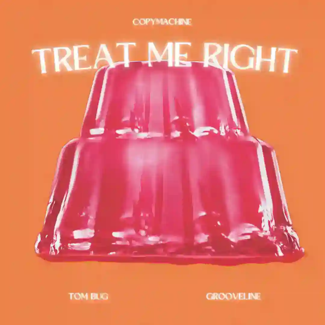 Treat Me Right (Franck Roger  Remix) cover