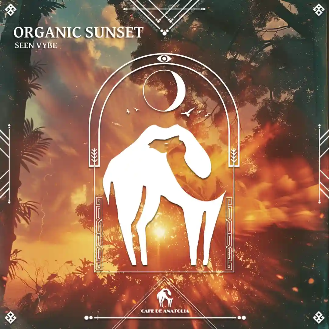 Organic Sunset (Original Mix) cover