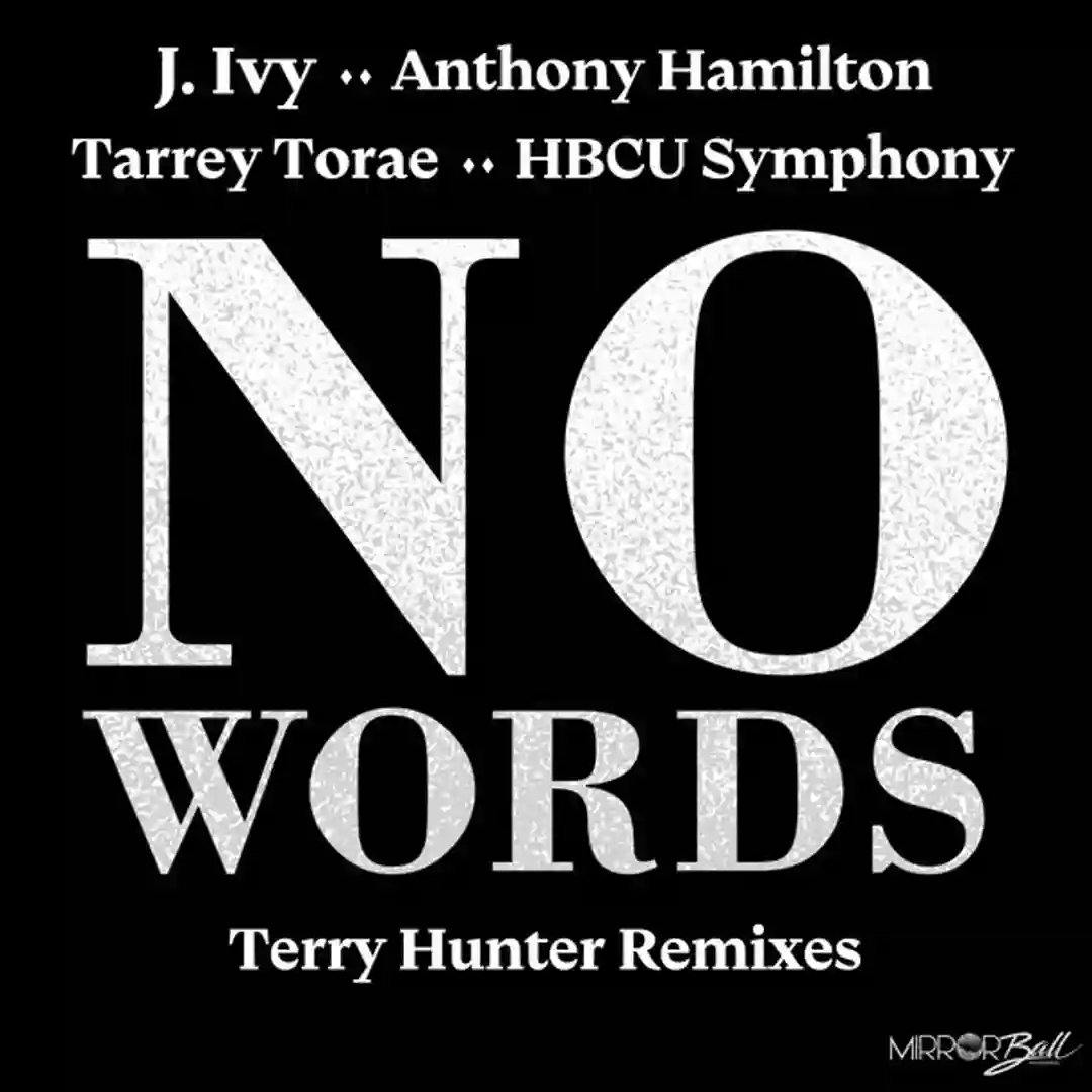 No Words (Terry Hunter Club Mix) cover