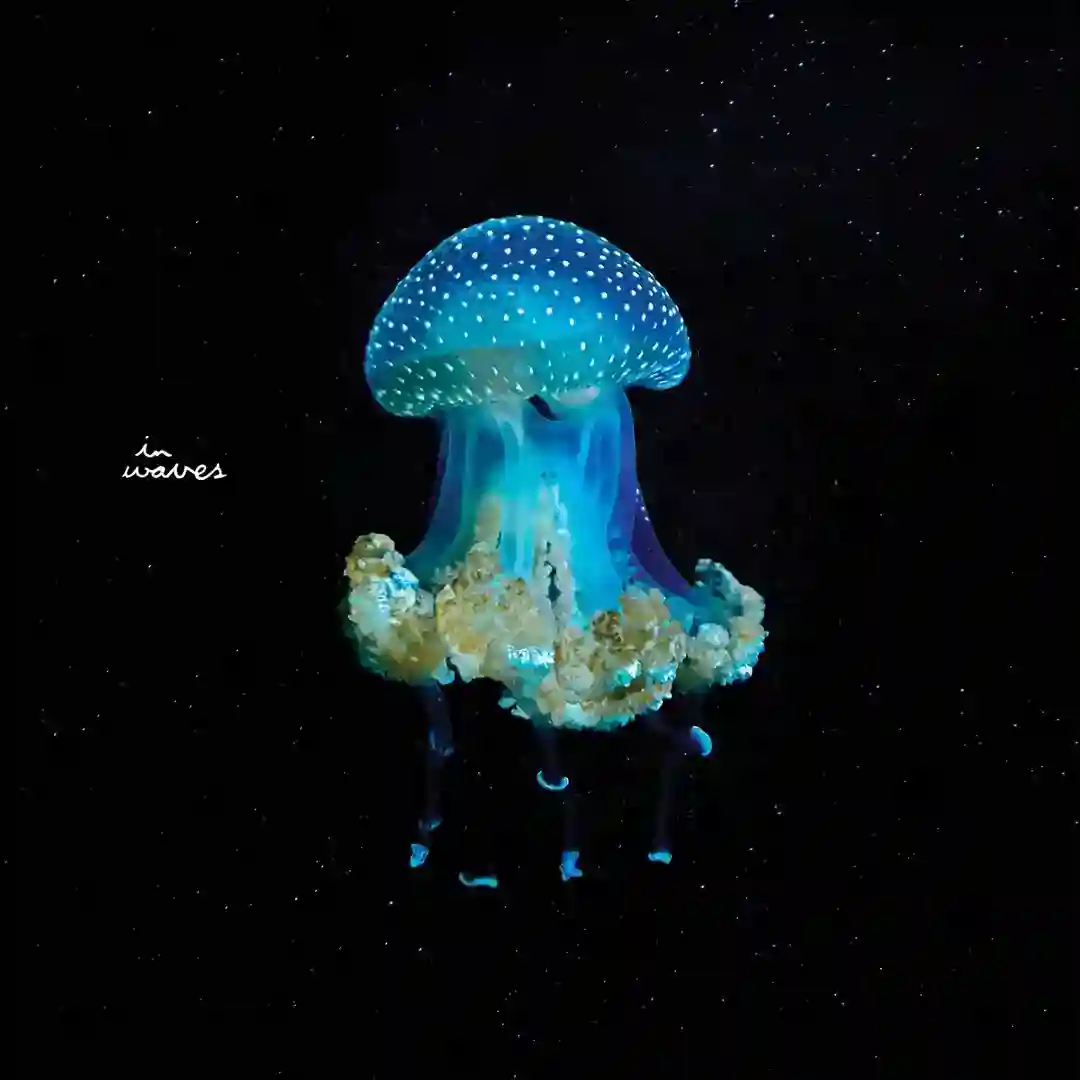 Electric Dreams feat. Usif cover