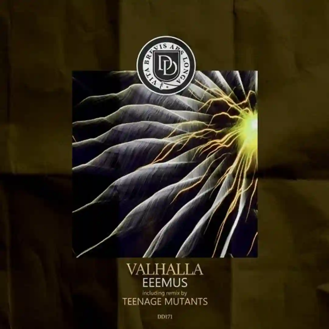 Valhalla (Teenage Mutants Remix) cover