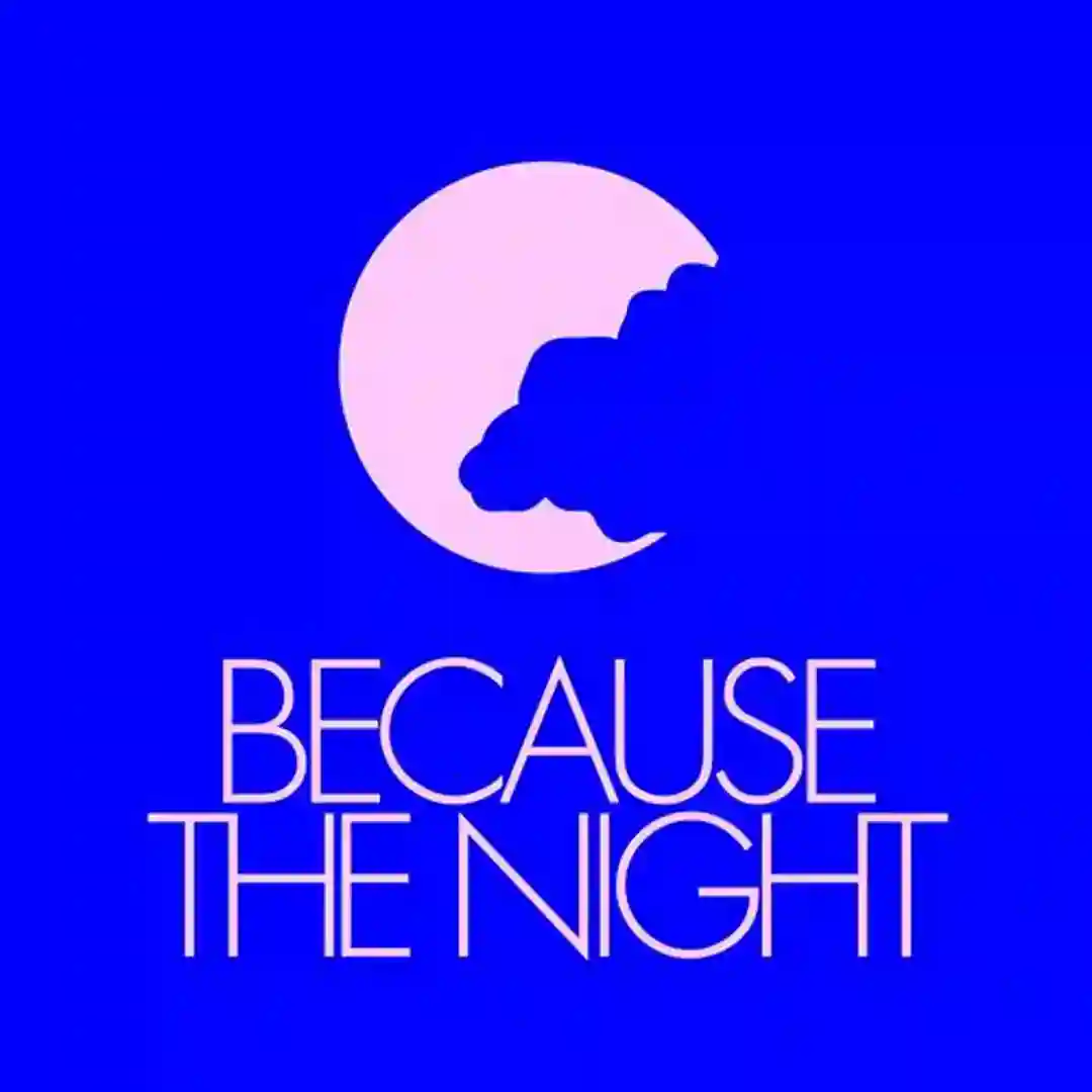 Because The Night (Extended Mix) cover