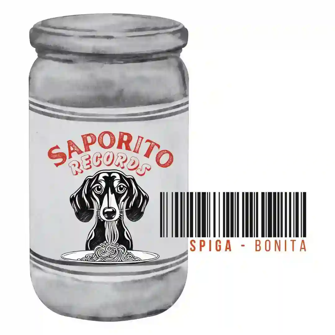 Bonita (Extended Mix) cover