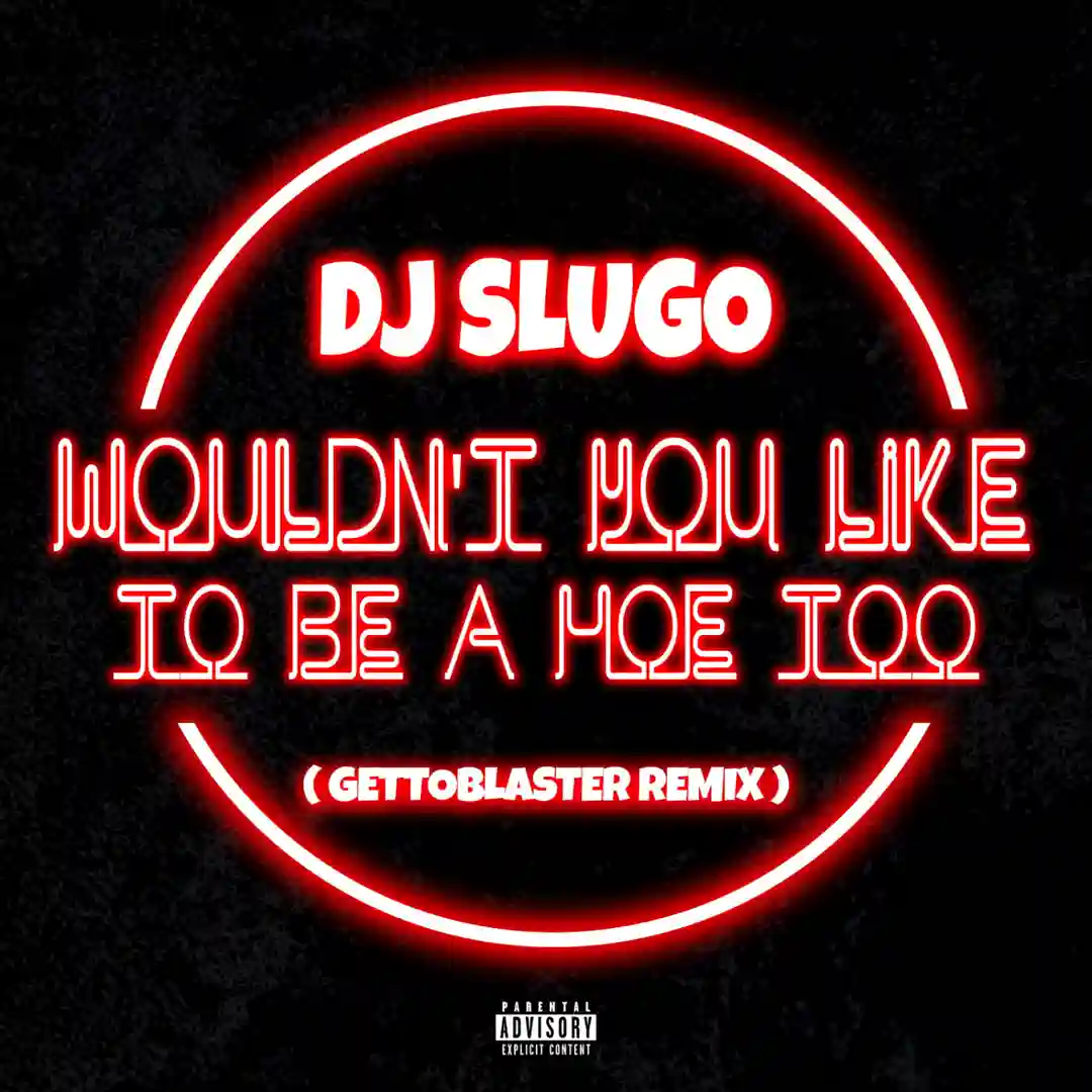 Wouldn't You Like To Be A Hoe Too (GettoBlaster Remix) cover