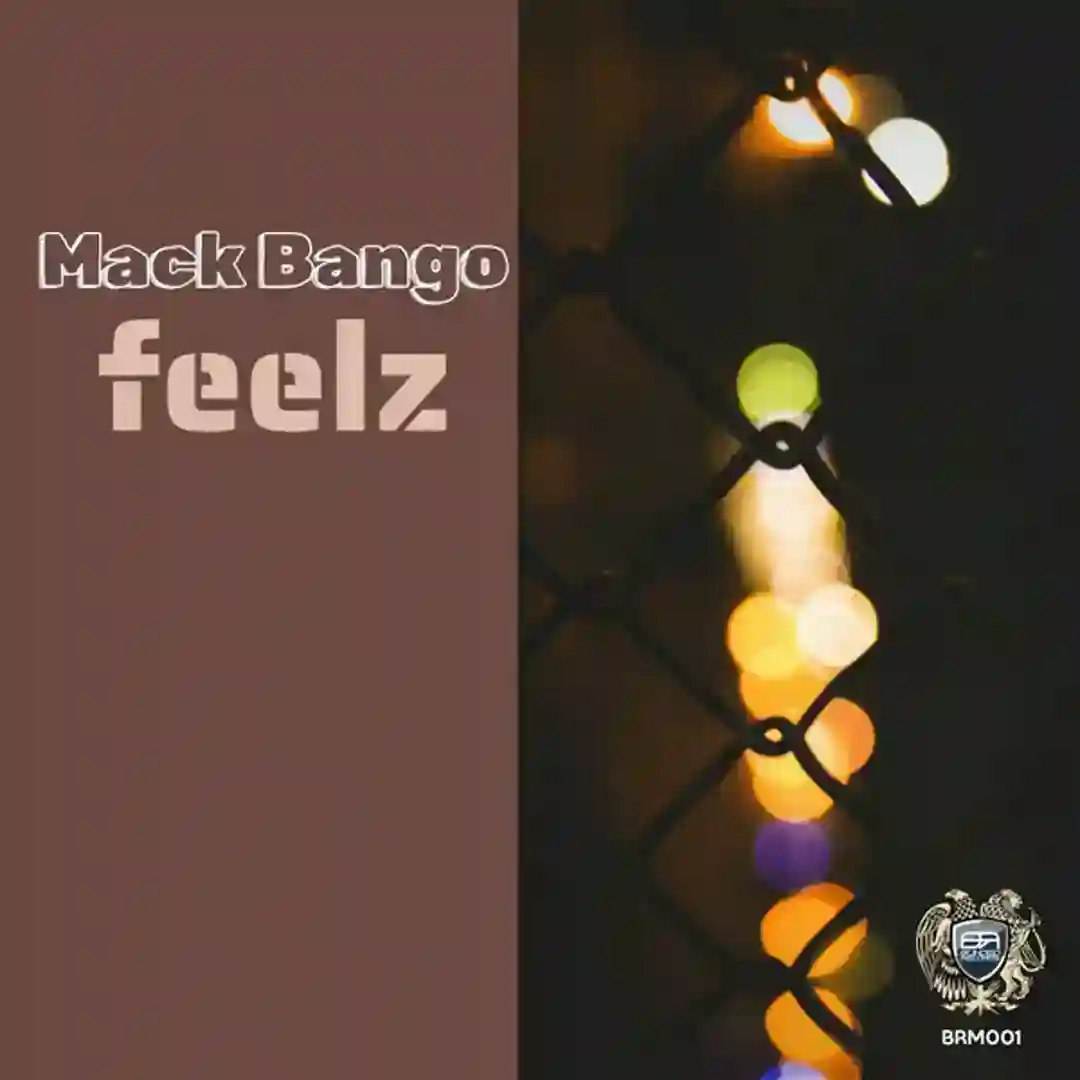 The Feelz cover