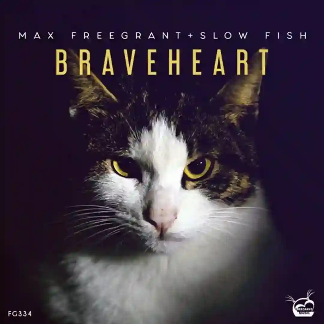 Braveheart (Radio Edit) cover
