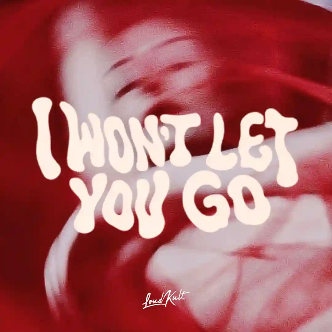 I WON'T LET YOU GO (Original Mix) cover