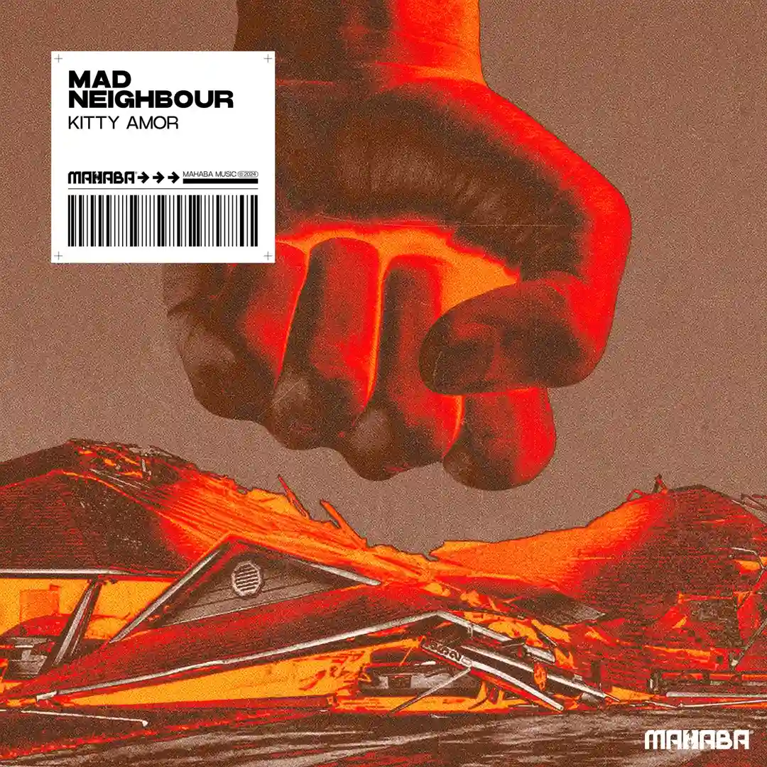 Mad Neighbour (Extended Mix) cover