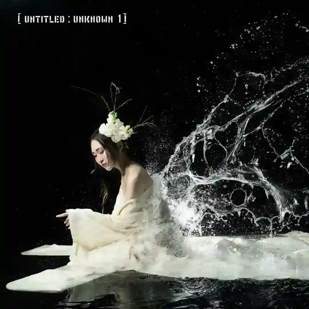 Unknown C cover