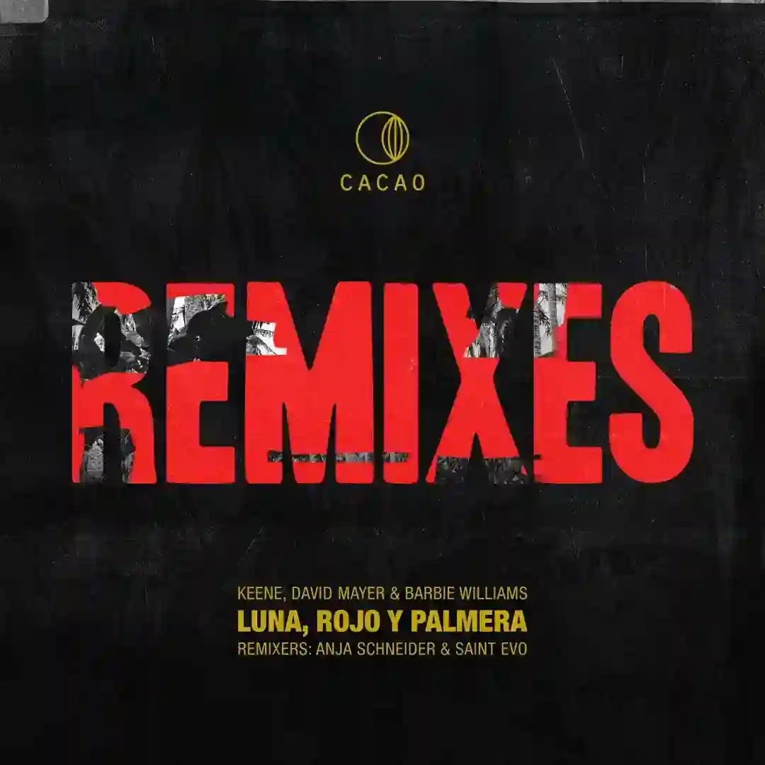 Luna, Rojo & Palmera (Anja Schneider Remix) cover