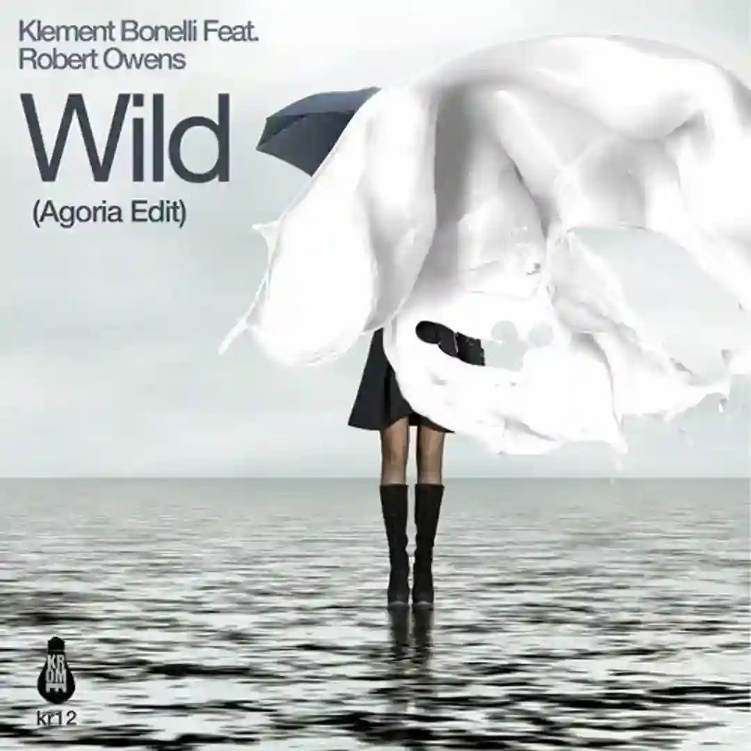 Wild (Agoria Edit / Torre Bros Remixes) cover