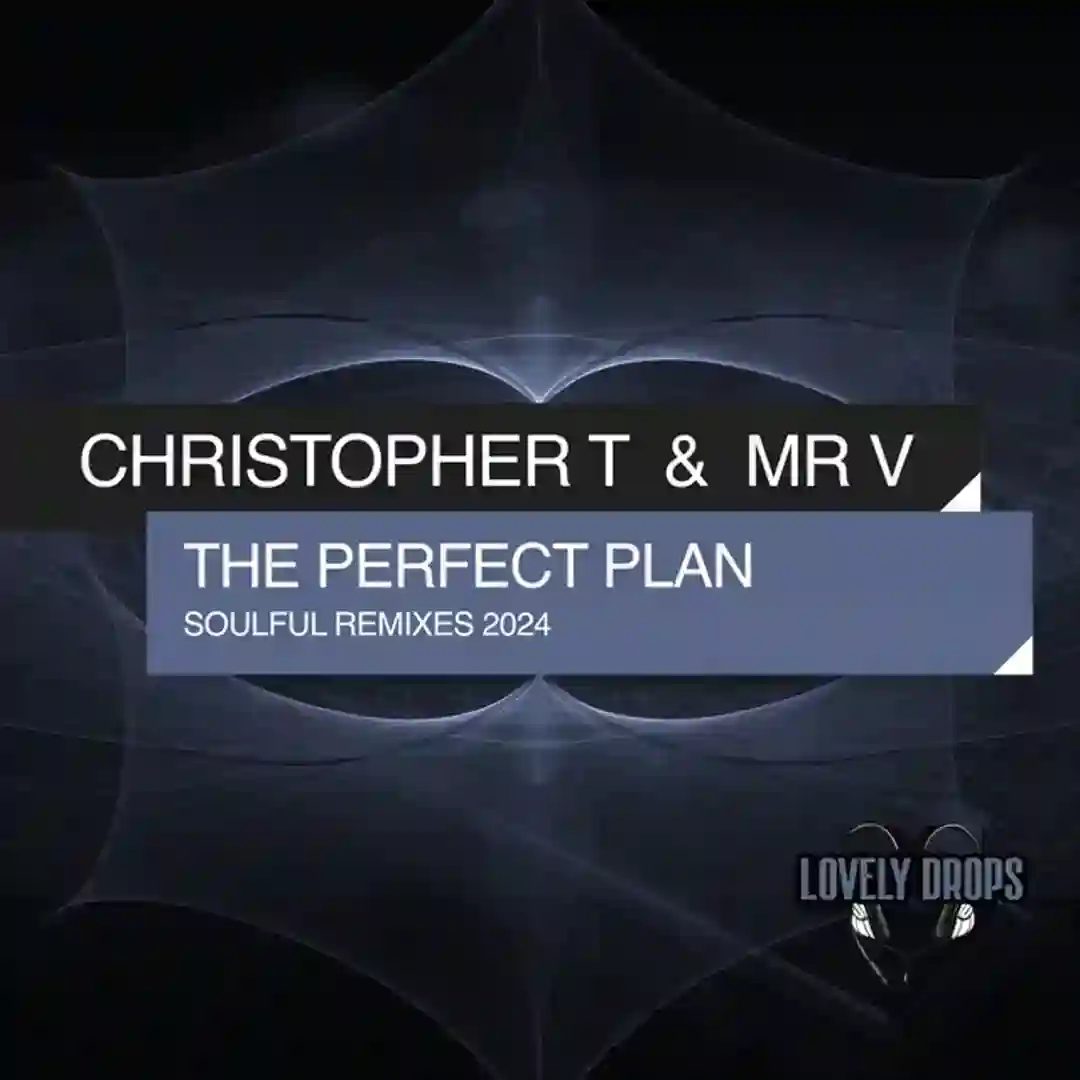 The Perfect Plan (Soulful Extended Remix 2024) cover