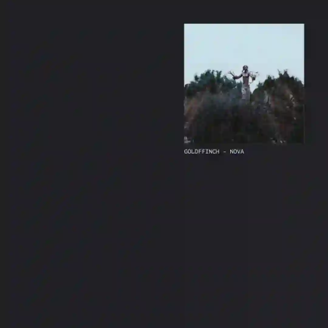 Hibernation (Original Mix) cover