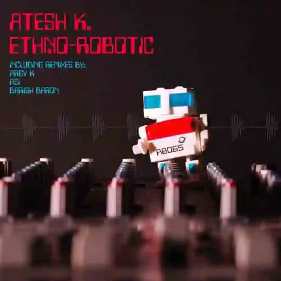 Ethno-Robotic cover