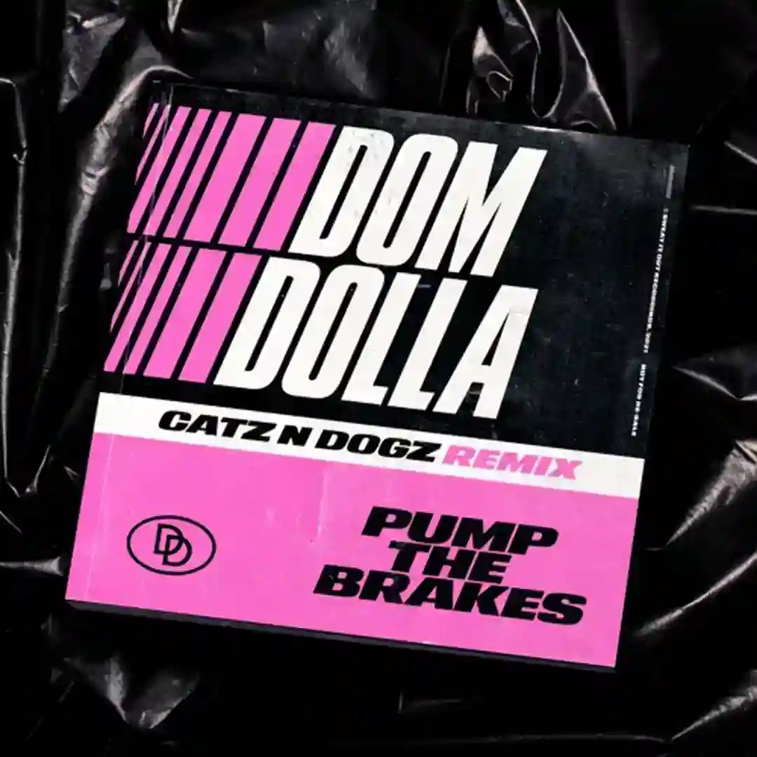 Pump the Brakes (Catz 'n Dogz Extended Remix) cover