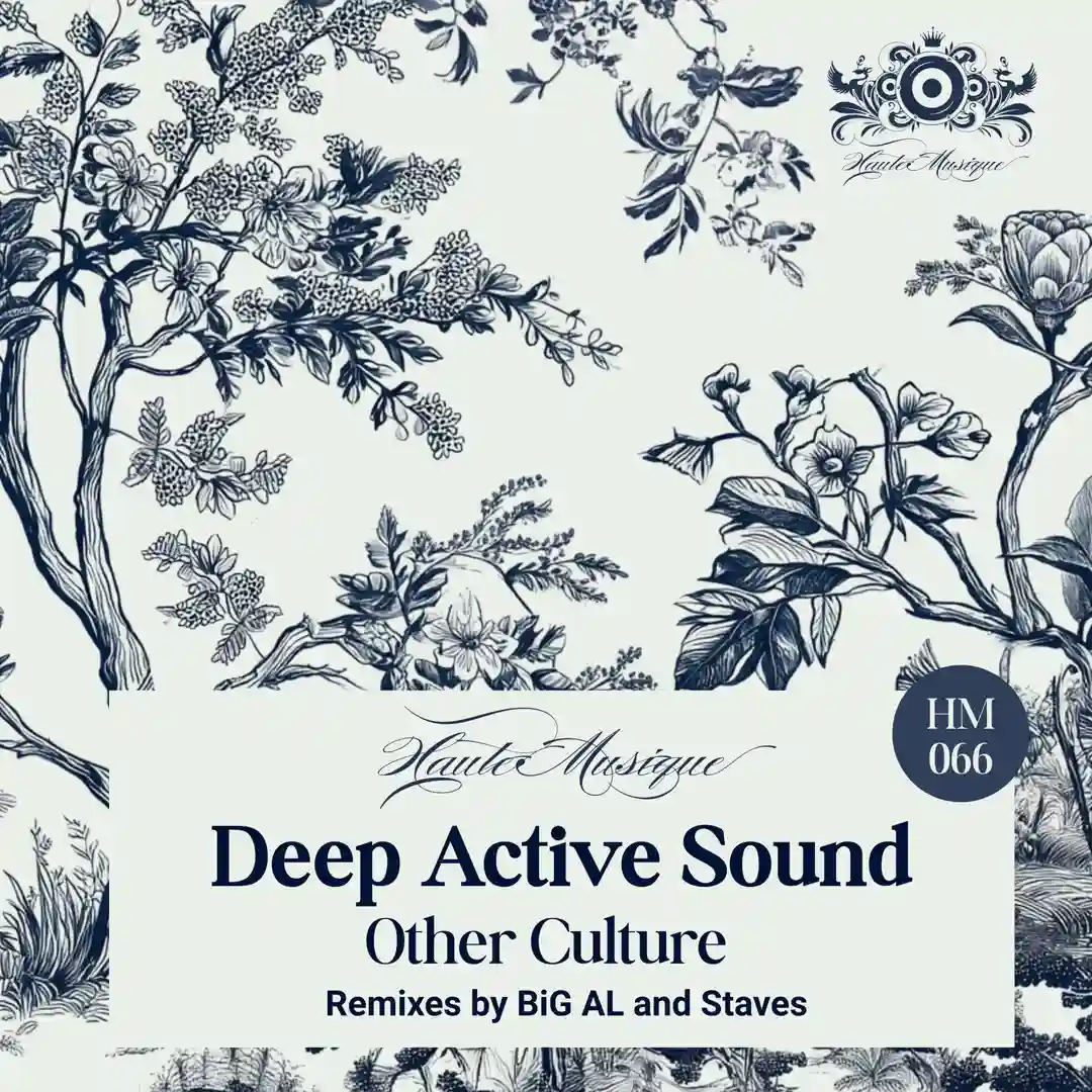 Other Culture (BiG AL Remix) cover