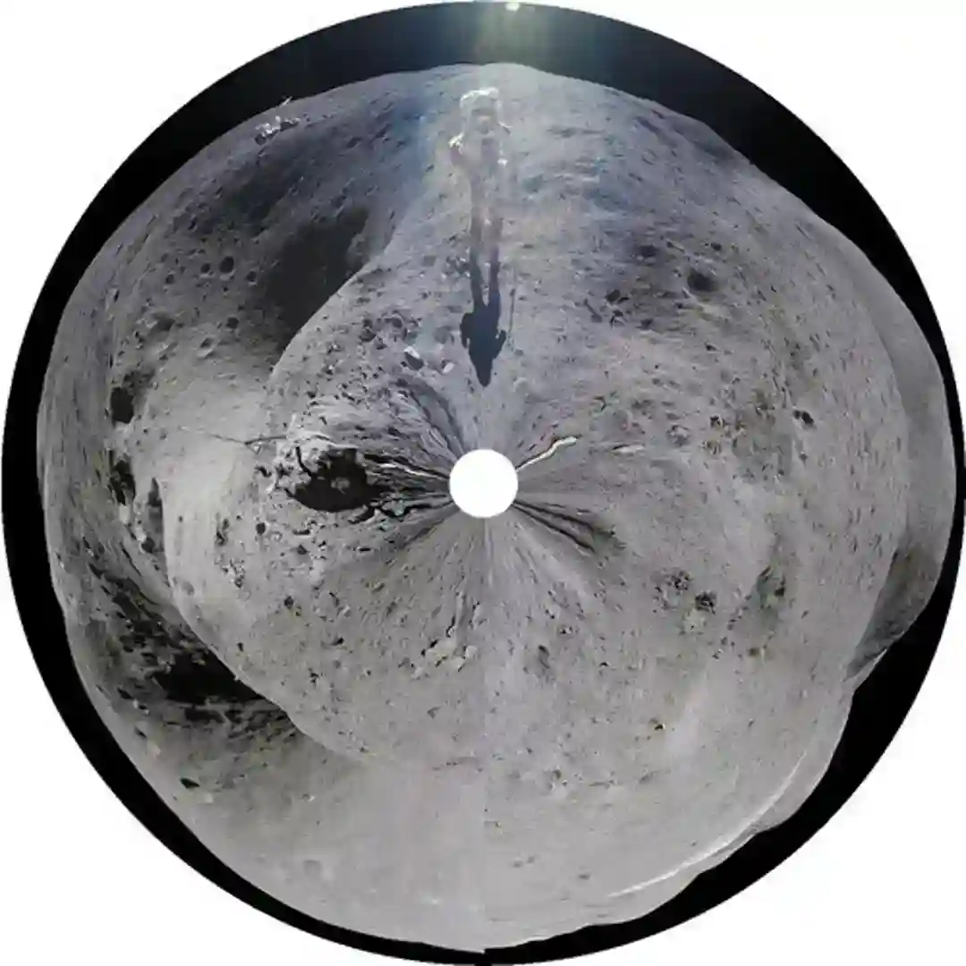 Dawn Walk cover