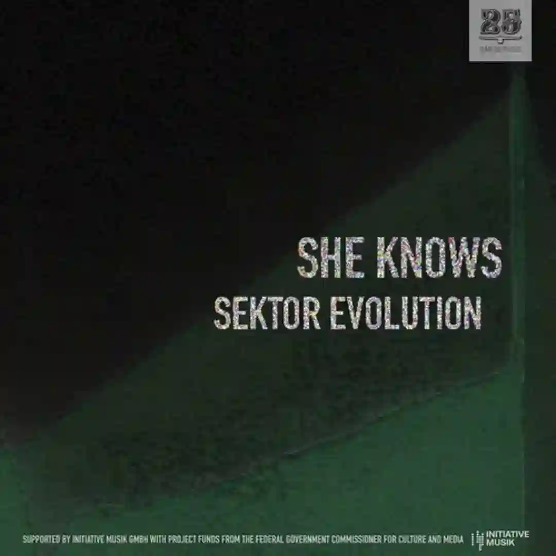 Sektor Evolution cover