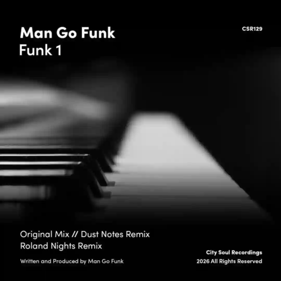 Funk 1 (Dust Notes Remix) cover