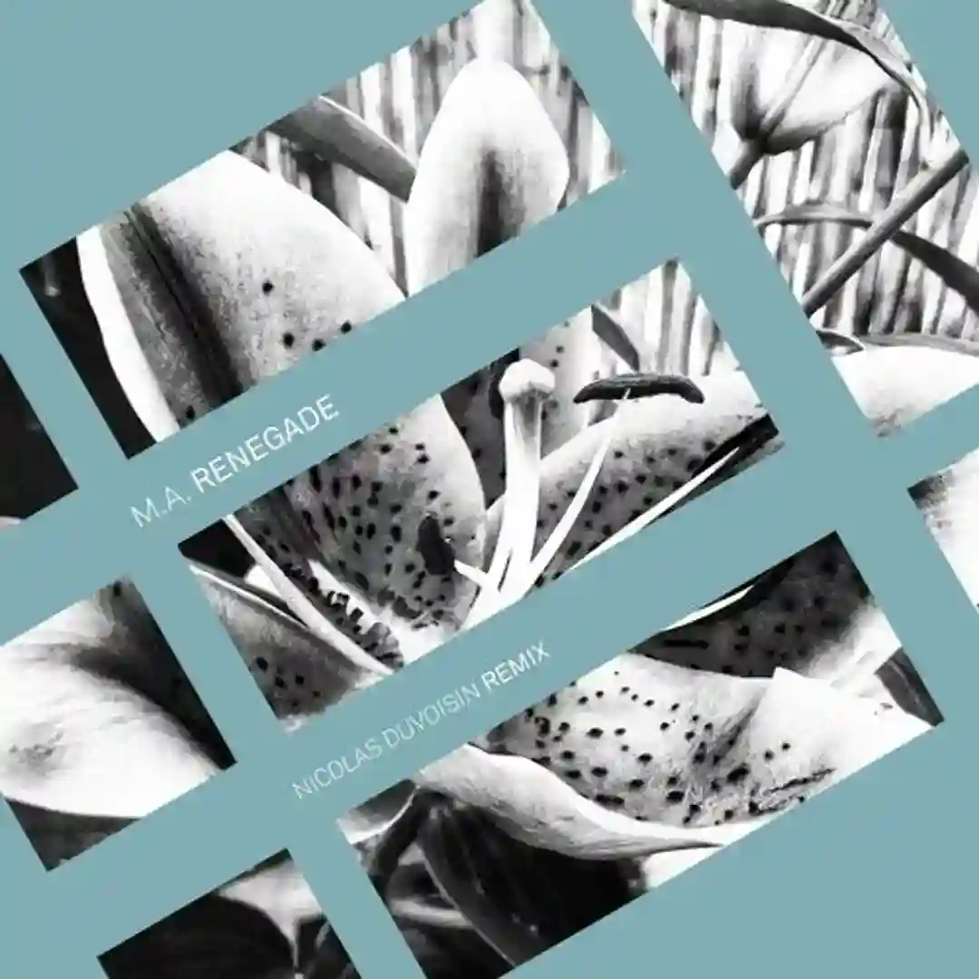 Renegade (Nicolas Duvoisin Remix) cover