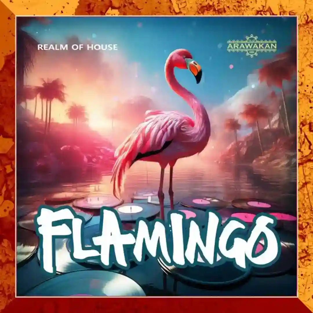 Flamingo (Arawakan Drum Mix) cover