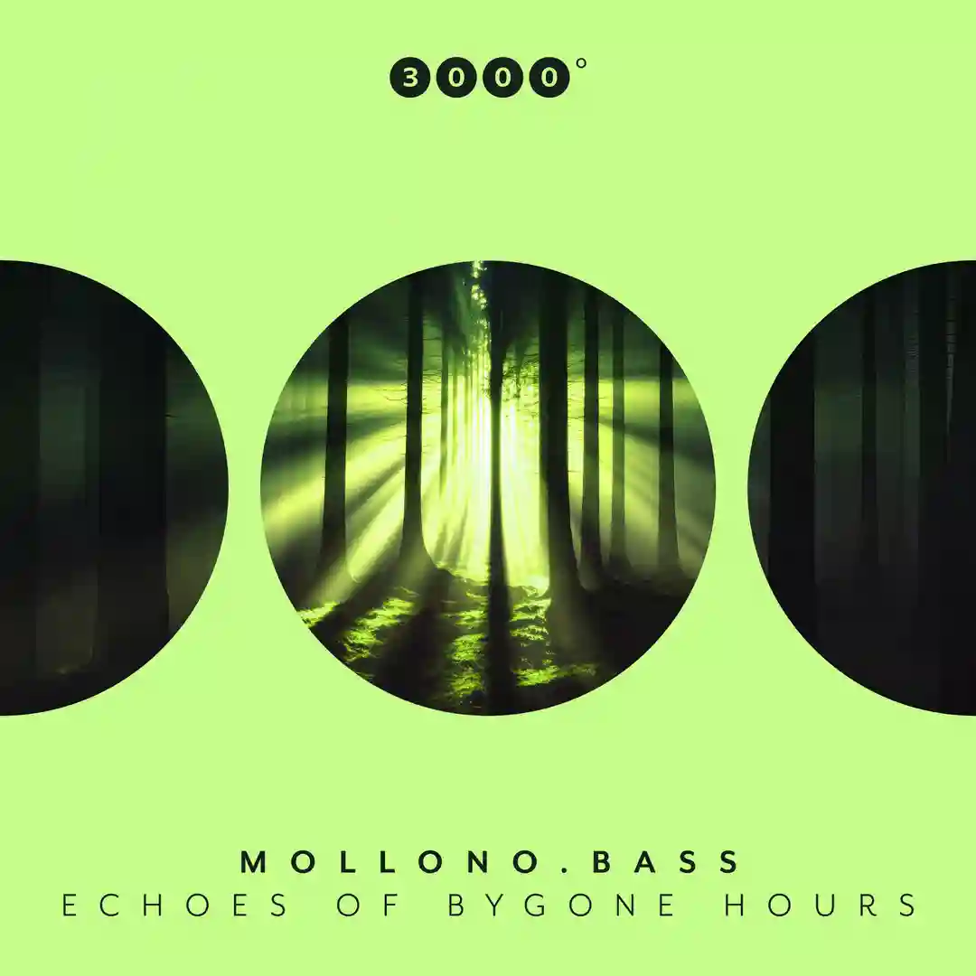 Echoes In The Breeze (Extended) cover