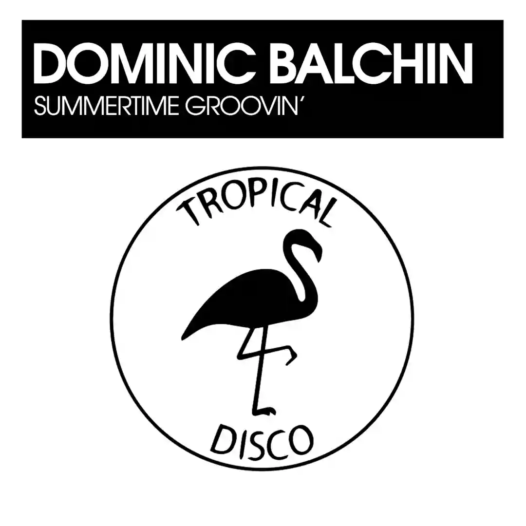 Summertime Groovin' (Original Mix) cover