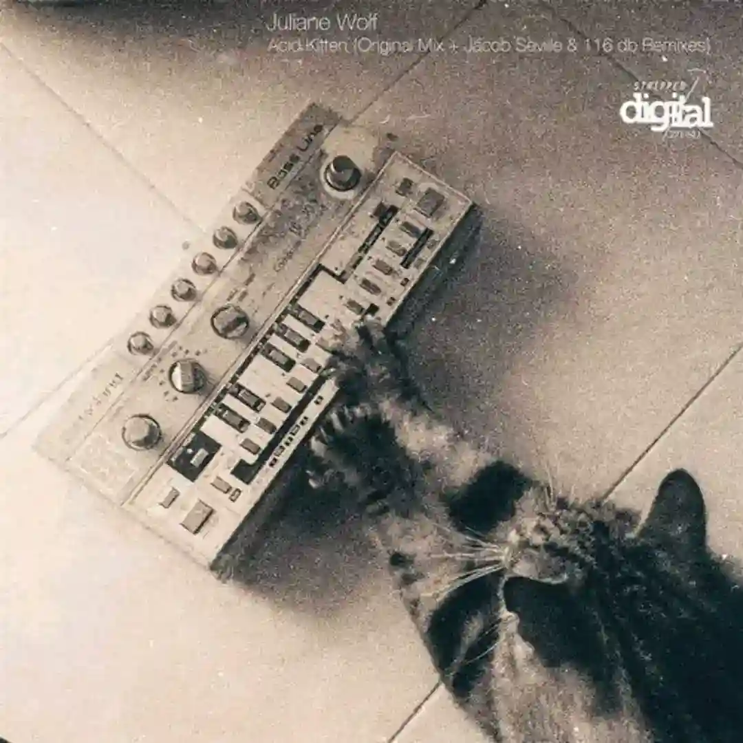 Acid Kitten (116 db Remix) cover