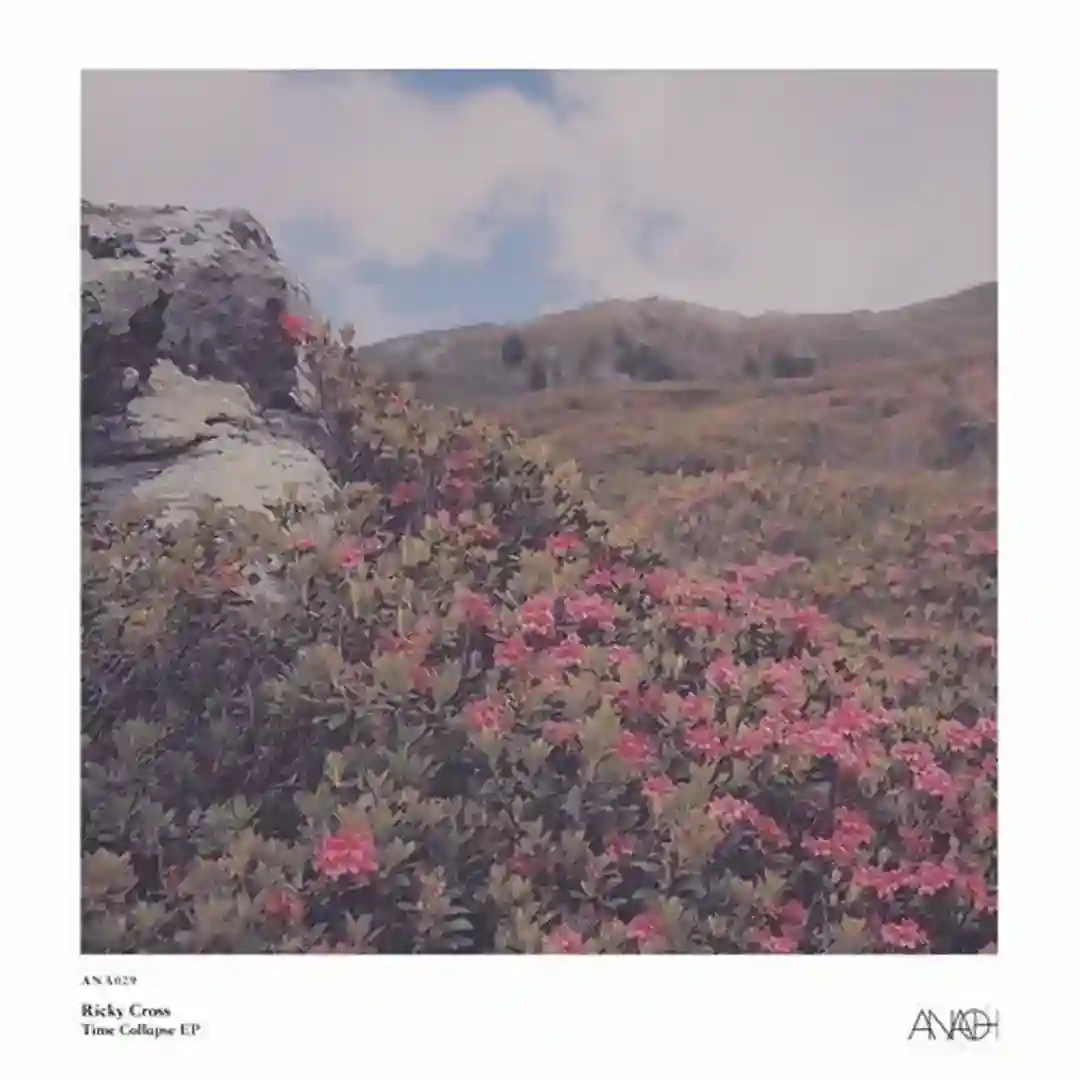 Time Collapse (Original Mix) cover